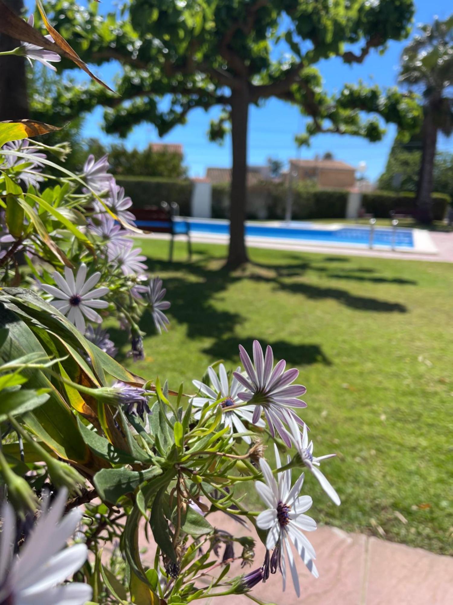 Vinarós Cala Puntal 아파트 외부 사진